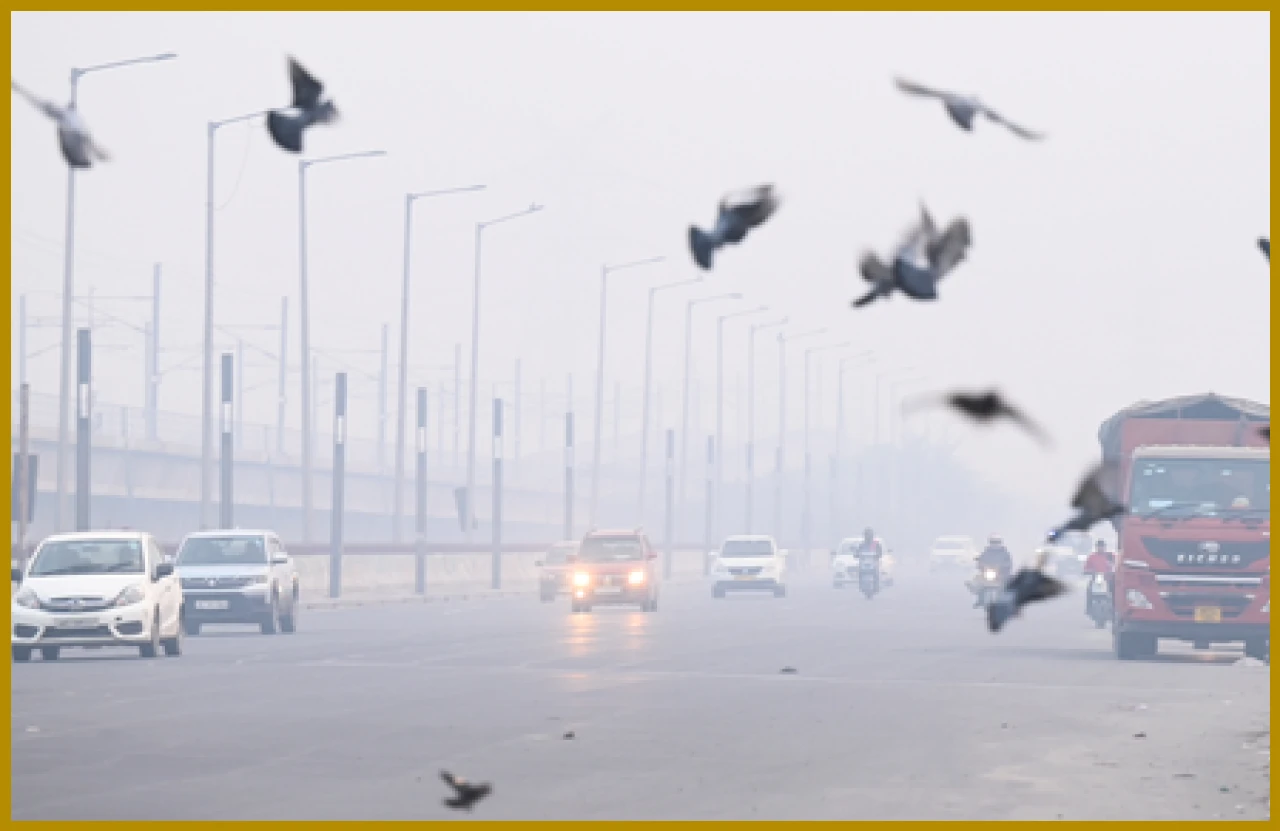 Weather Changes in NCR: Rising Temperatures and Poor Air Quality