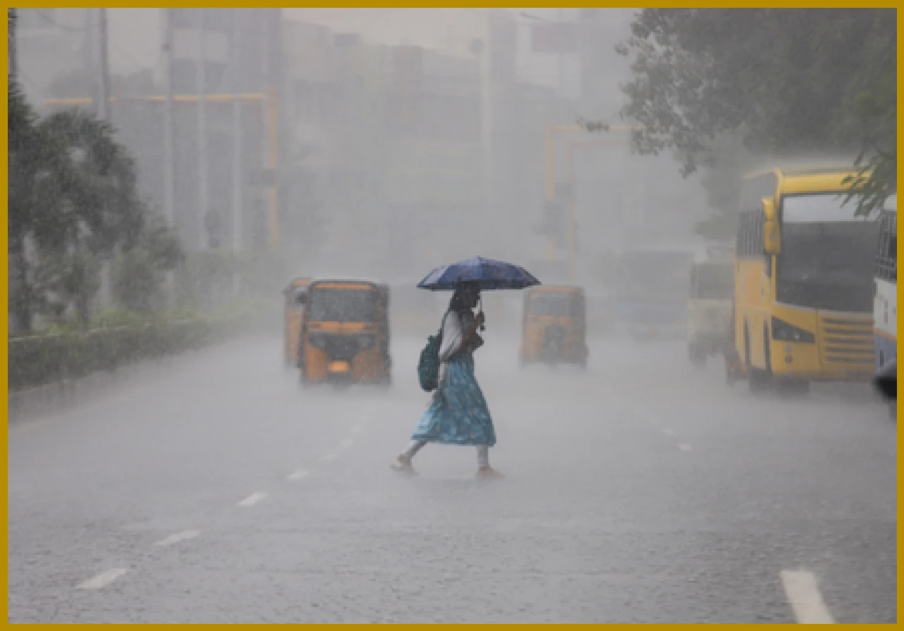 Weather Changes in Tamil Nadu: Fog and Light Rain Expected