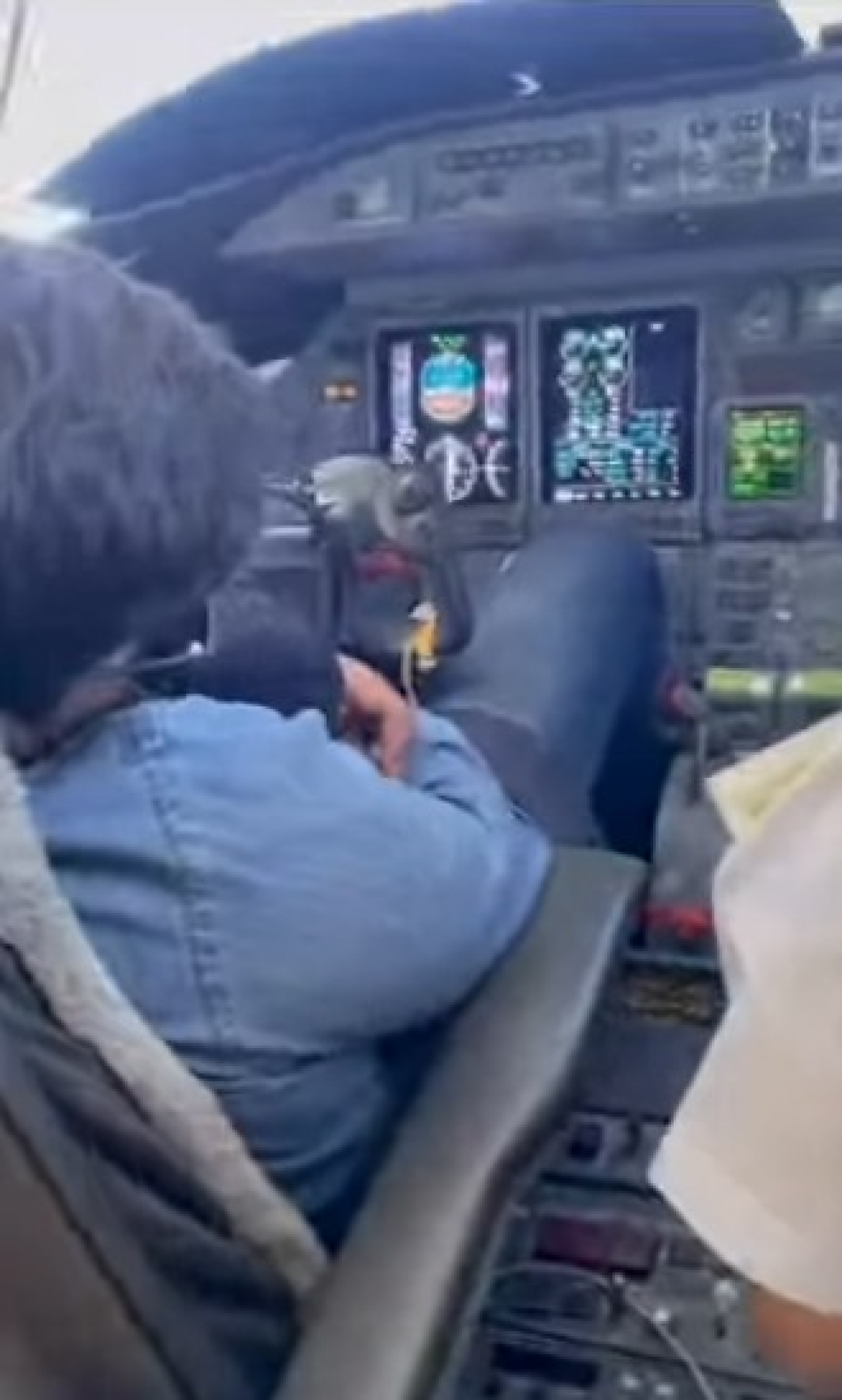 Ajit Pawars Son Demands Action After Shocking Flight Video Emerges
